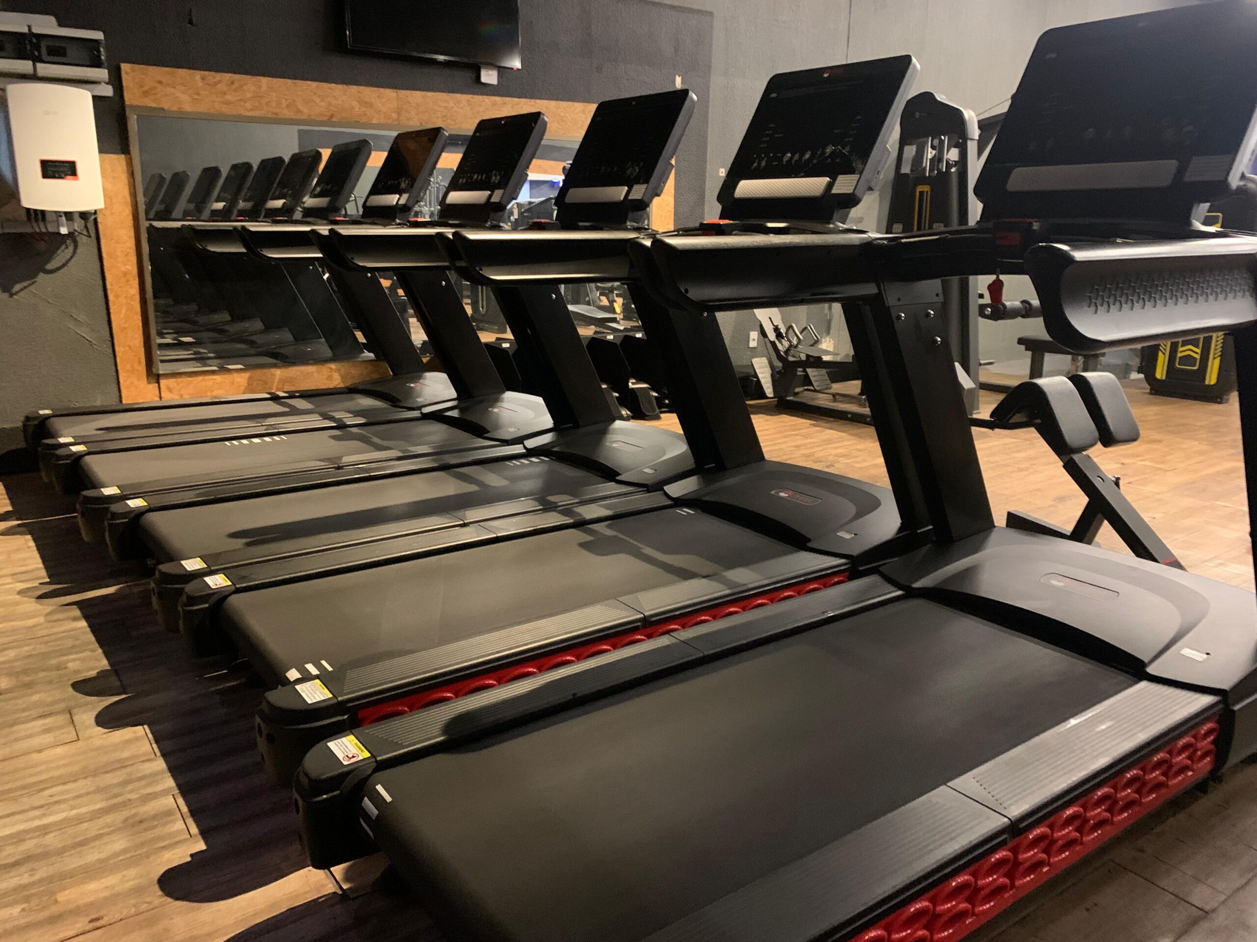 vitoria fitness academia bh